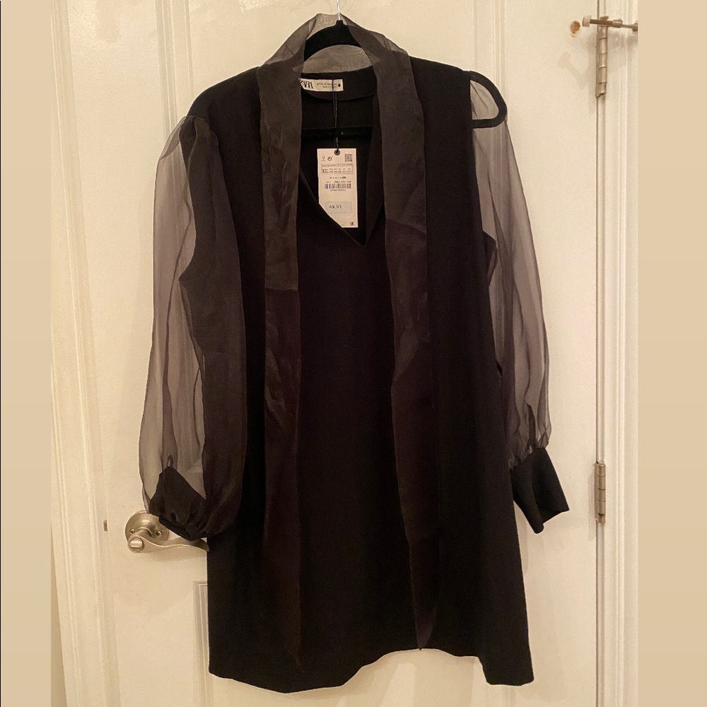 NWT Zara Shift Dress with Sheer Sleeves